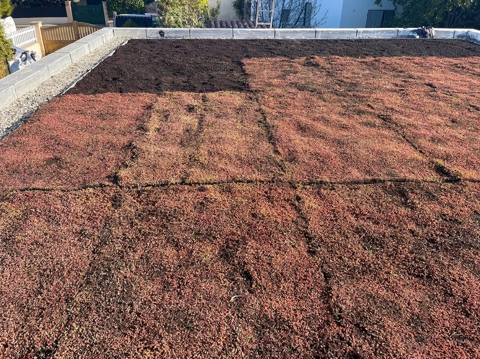 Scène extérieure montrant une surface de béton ou dalle avec traces d'efflorescence blanche, fissures et signes de dégradation